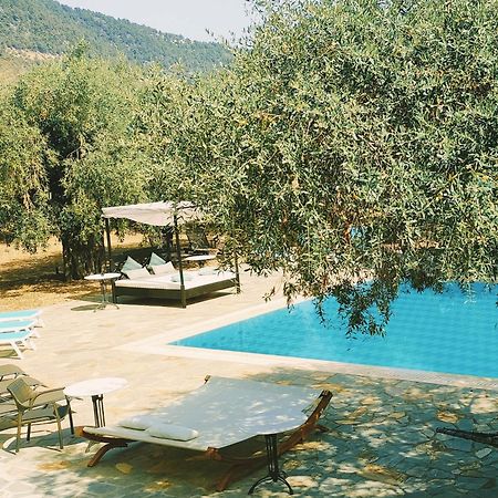 Ipsario Garden Hotel Skala Potamia (Thasos) Exterior foto